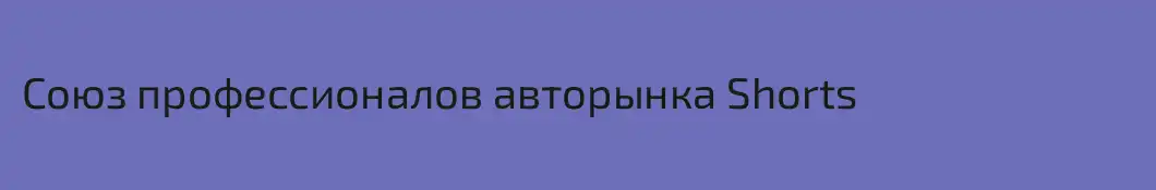 Союз профессионалов авторынка Shorts